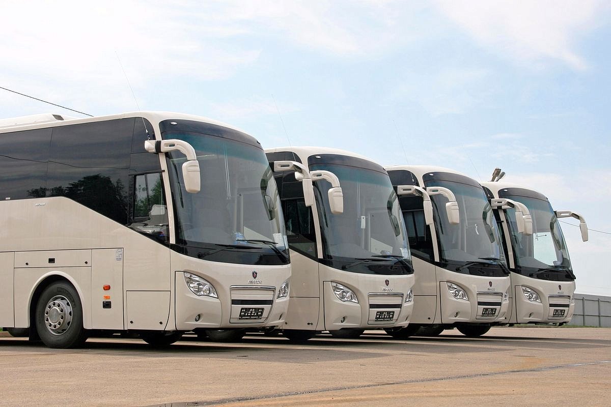 Bus